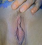 Texas tattooed teacher cum dumpster photo gallery