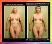 Clothed Unclothed Amateur Transgender Models