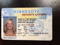 Angela Lynn Menard Webslut