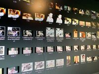 Wife Next Door is now a Pornstar!