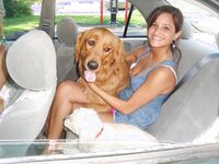 Girls Flashing Naked in Cars