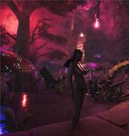 catacombs under Wastes lands