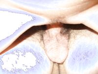 Aga 40 Polish slim slut