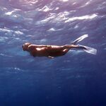 Jasmin van der Steen iCloud leak