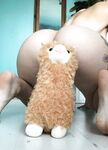 Tara Mawer - taramawer - Talipsphynx Derby onlyfans content