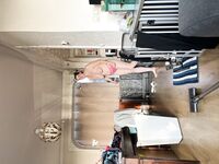 Dutch wife Nicole pearson from enkhuizen