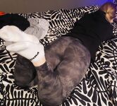 German FinanzamtSau S