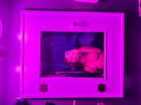 Sofia Crooker (Smith) amazing tits