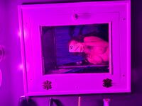 Sofia Crooker (Smith) amazing tits