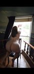 hot wife in window