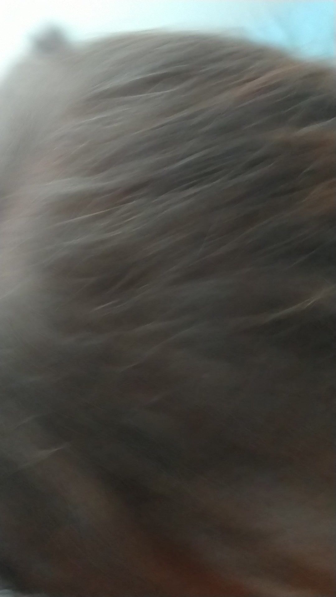 North Dakota cumslut wife Shannon