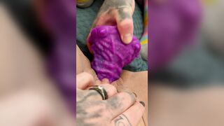 stuffing the panda pussy