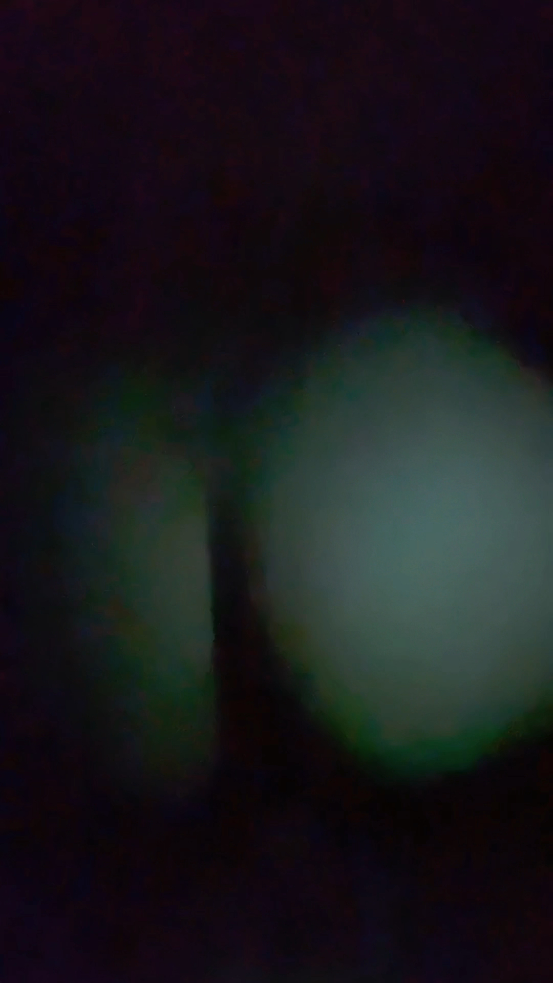 Horny Latina Roommate