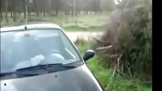 Svenska utomhuspublik