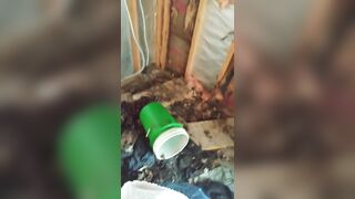 Teen sucks bbc outdoors