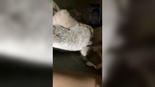 Beautiful MILF with perfect tits Fucks a 12” Cock