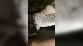 Small Lady with impeccable tits caught fucking a huge Dildo