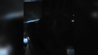 Pennsylvania slut sucking cock
