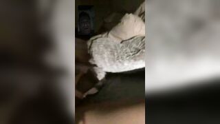Slutty LINA NORENA- Charlotte NC Slut Caught Fucking a Huge Dildo