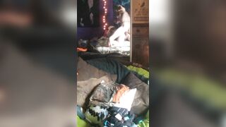 Edmore michigan slut Cheyann frasle