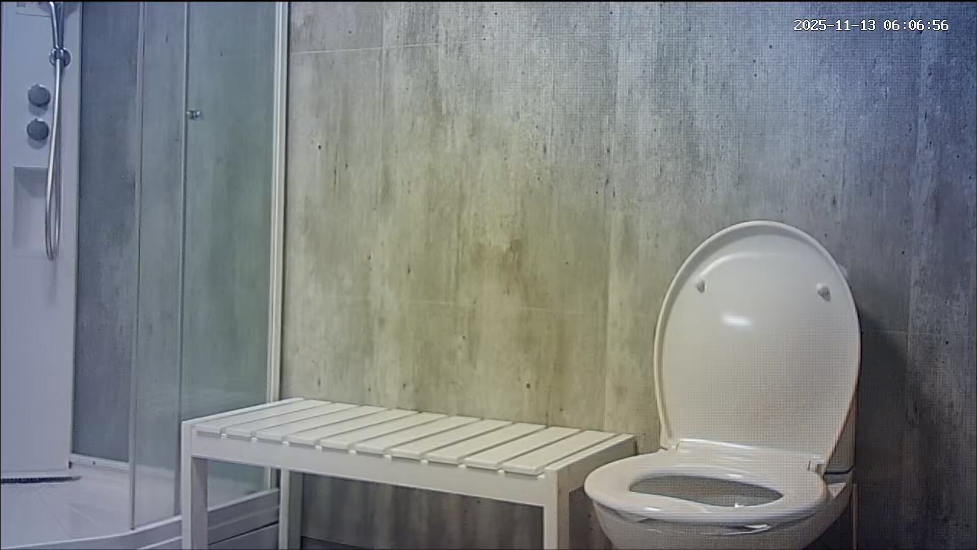 sara ass