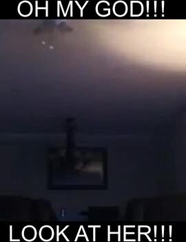 THOTTIE Queen Twerking