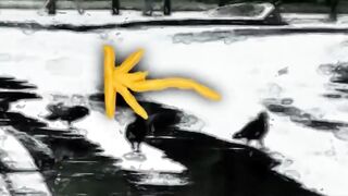 K-15 Cacko si kupil laptop