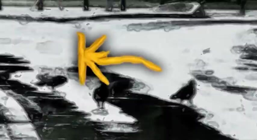 K-15 Cacko si kupil laptop