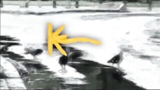 K-15 Novogodishna 2003