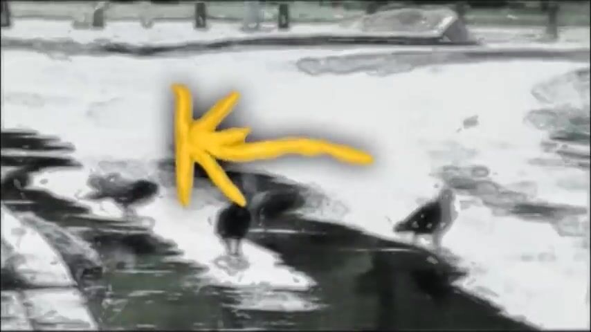 K-15 Novogodishna 2003