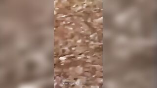 The end of a successful date1