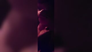 7 3/4 Stud From Maine.