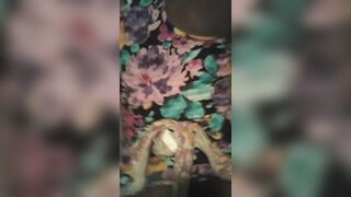 Thick Booty Ugly Panties