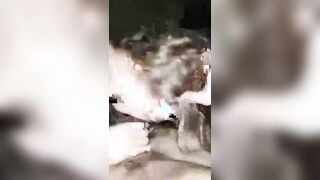 720p_4000k_397167241