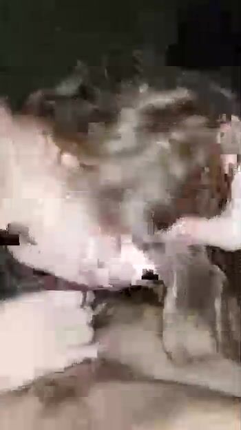 720p_4000k_397167241