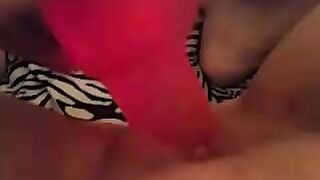 Sierra B. Manchester NH