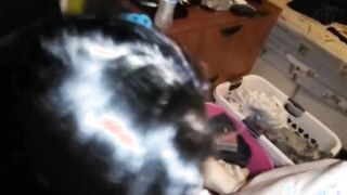 Jamie Tran Sheldon Connecticut Sucks & Fucks Doggie Style