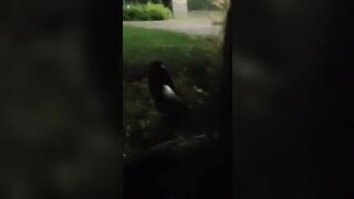 Girl sucks me outside