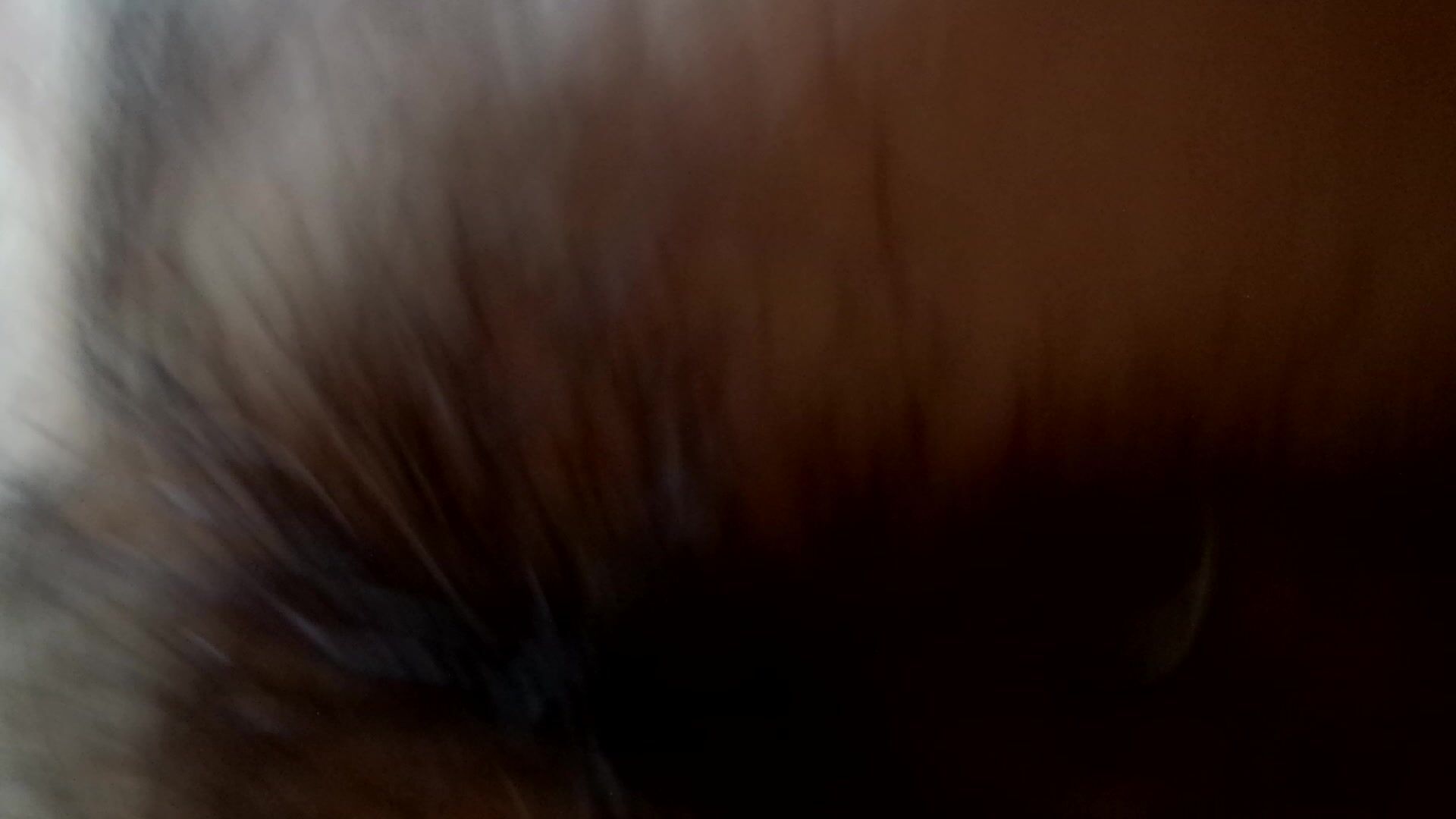 Yukiko's pussy