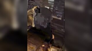 Drunk girl piss in public & face dive