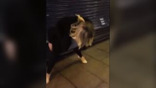 Drunk girl piss in public & face dive