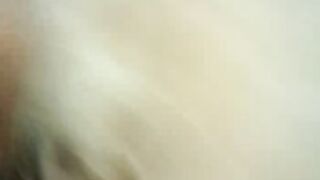 Blonde milf sucking my cock