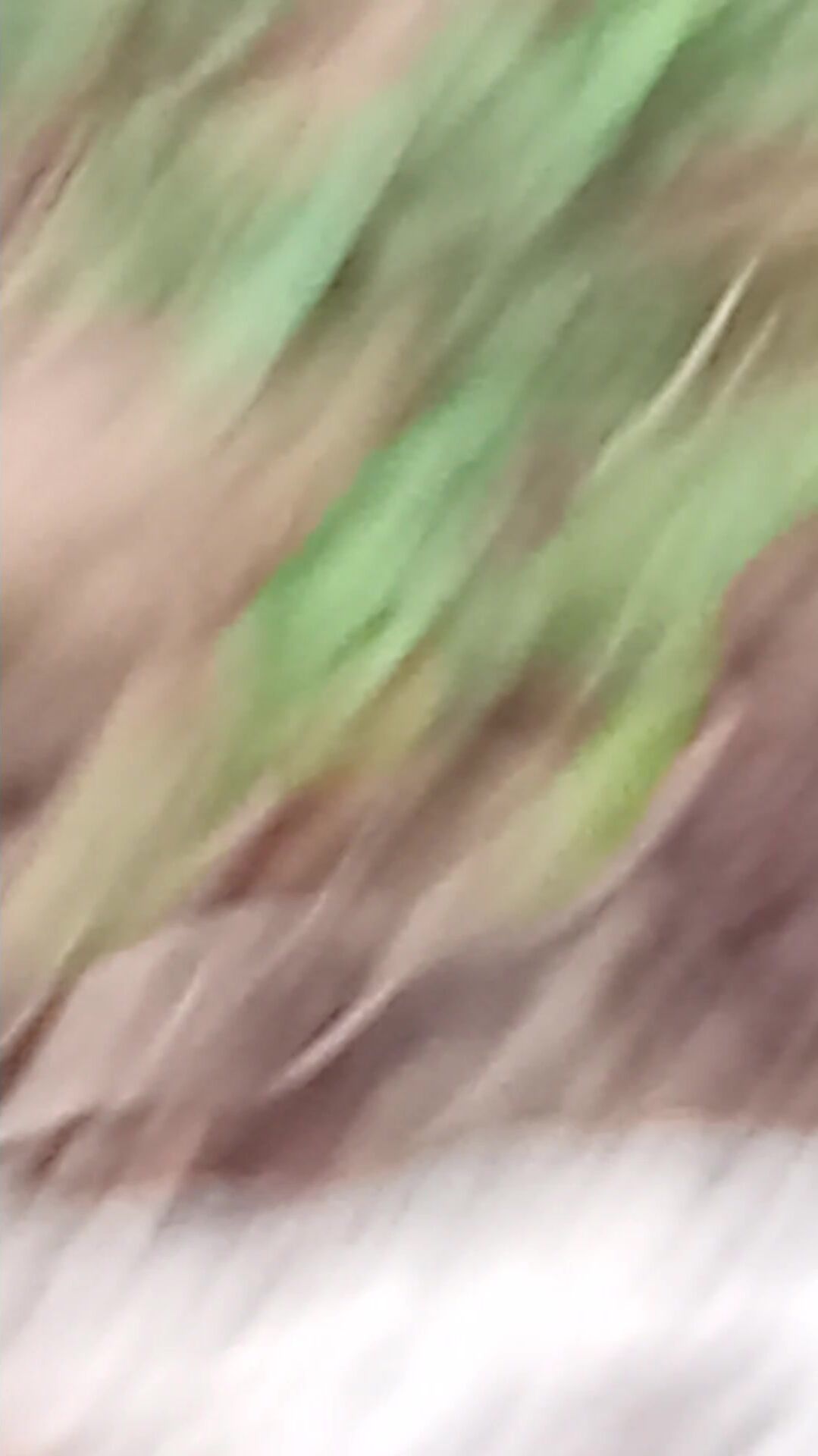 1111111